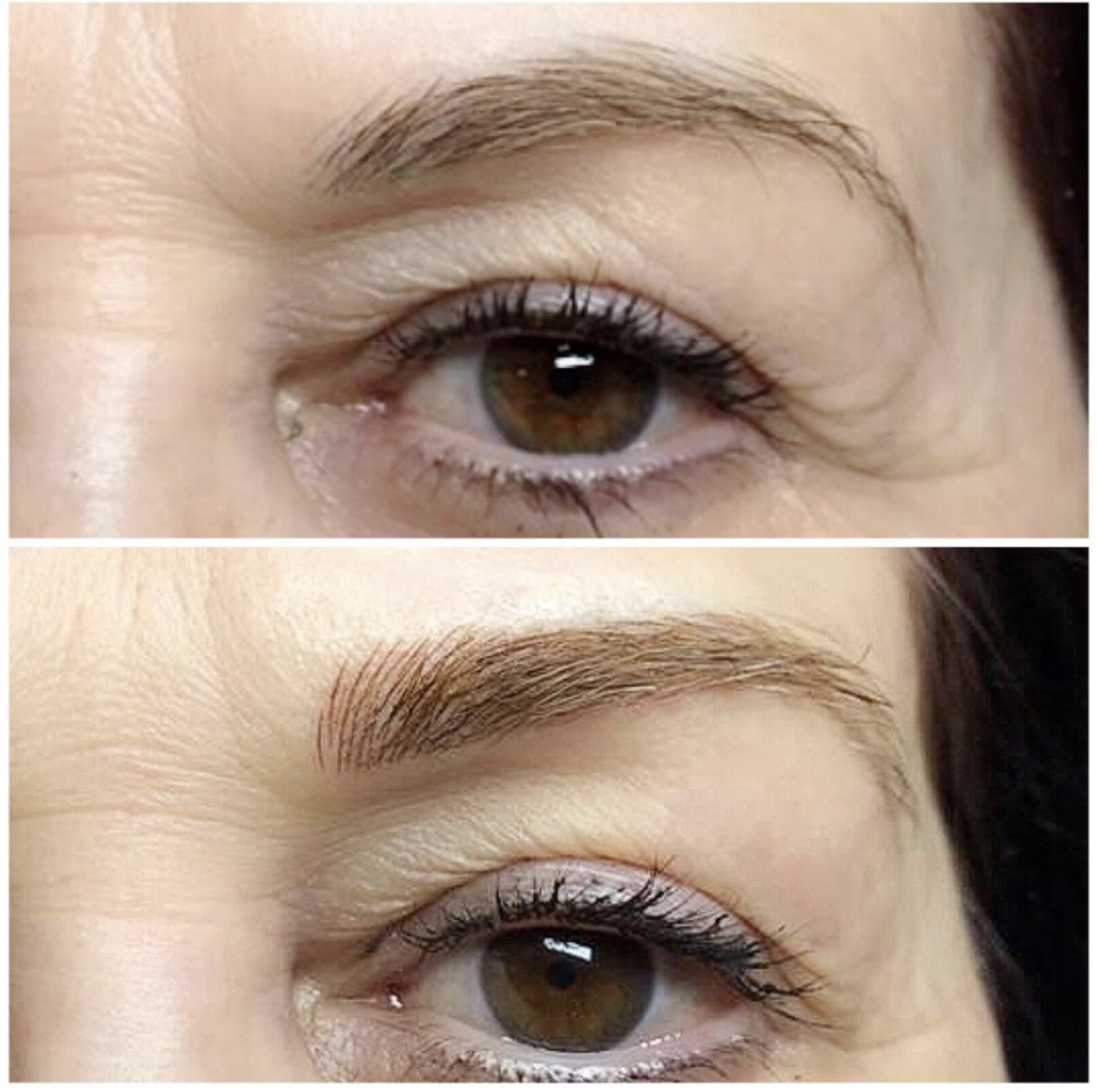 Microblading before and after — dark hair client, defined natural brows by Ellie Shariat PMU Sarasota