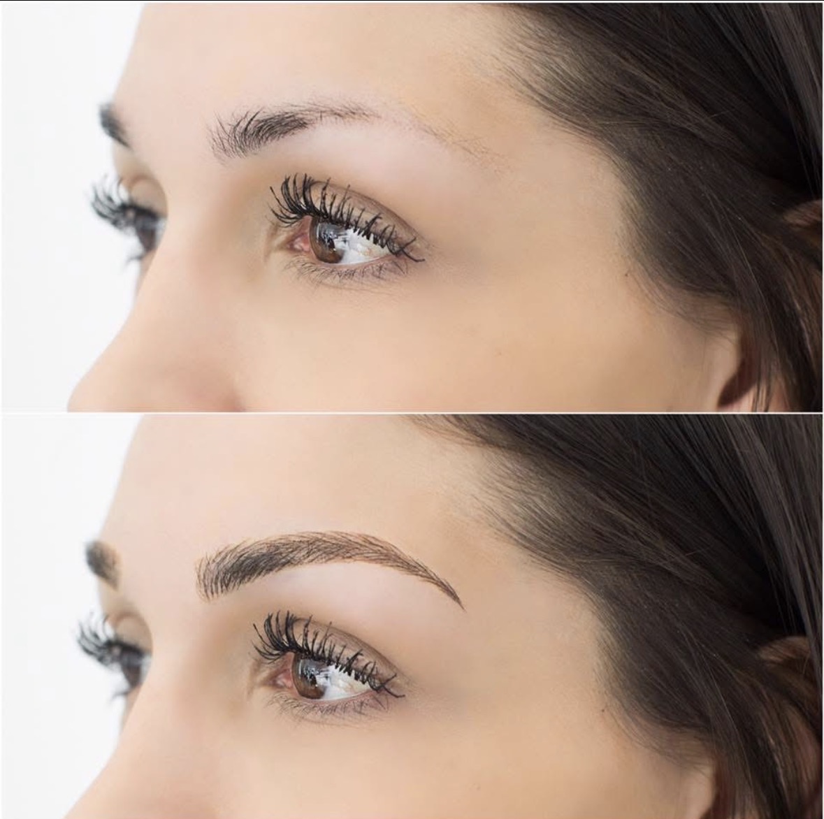 Microblading result — full natural brow shape with precise hair strokes by Beverly Hills PMU Sarasota